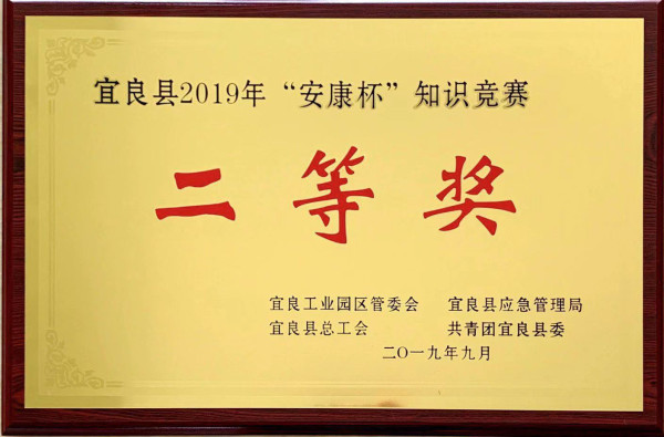 宜良中欧荣获宜良县2019年“安康杯”知识竞赛二等奖